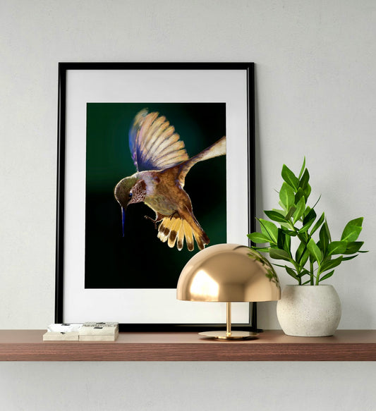 “Stilled Motion” - print