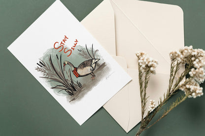 VARIETY BUNDLE PACK - cards