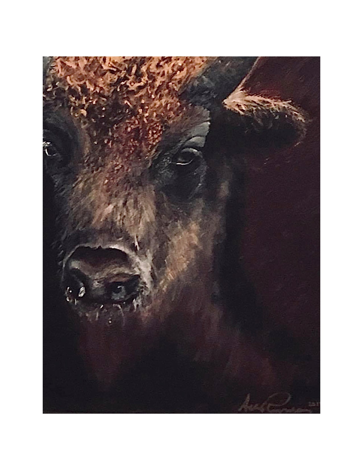 "American Buffalo"
