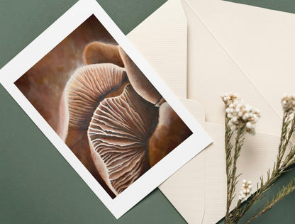 VARIETY BUNDLE PACK - cards