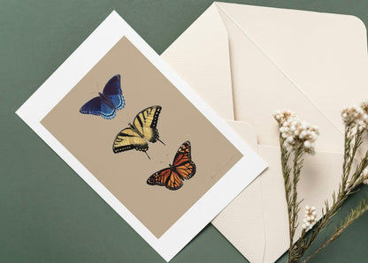 VARIETY BUNDLE PACK - cards