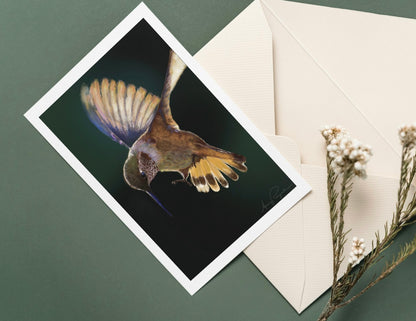 VARIETY BUNDLE PACK - cards