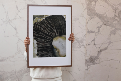 The Shades of Silence - Limited Edition Prints