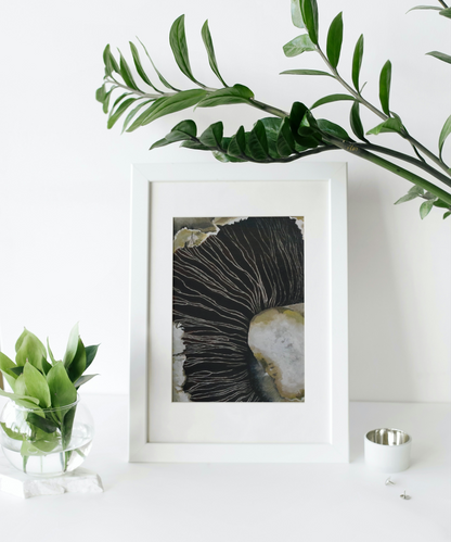 The Shades of Silence - Limited Edition Prints