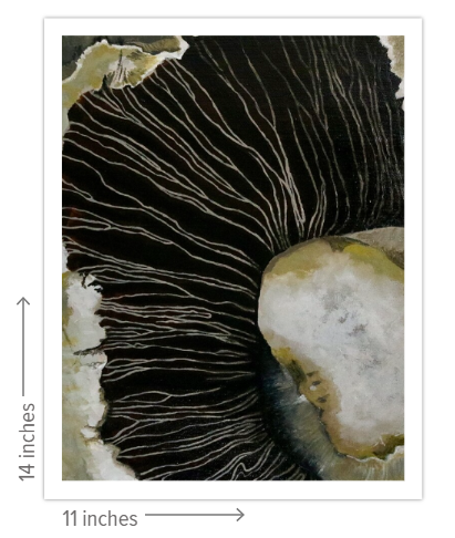 The Shades of Silence - Limited Edition Prints