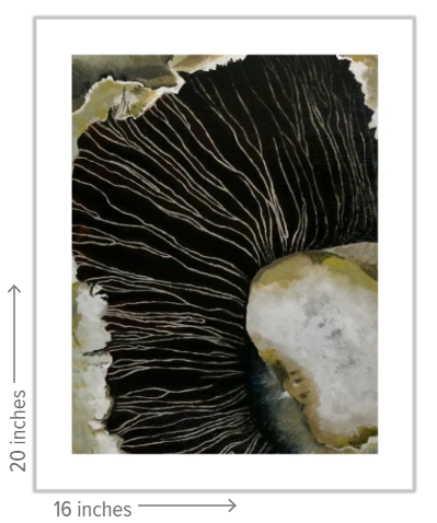 The Shades of Silence - Limited Edition Prints