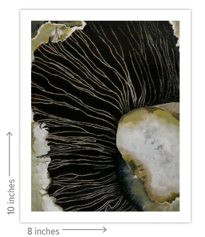 The Shades of Silence - Limited Edition Prints